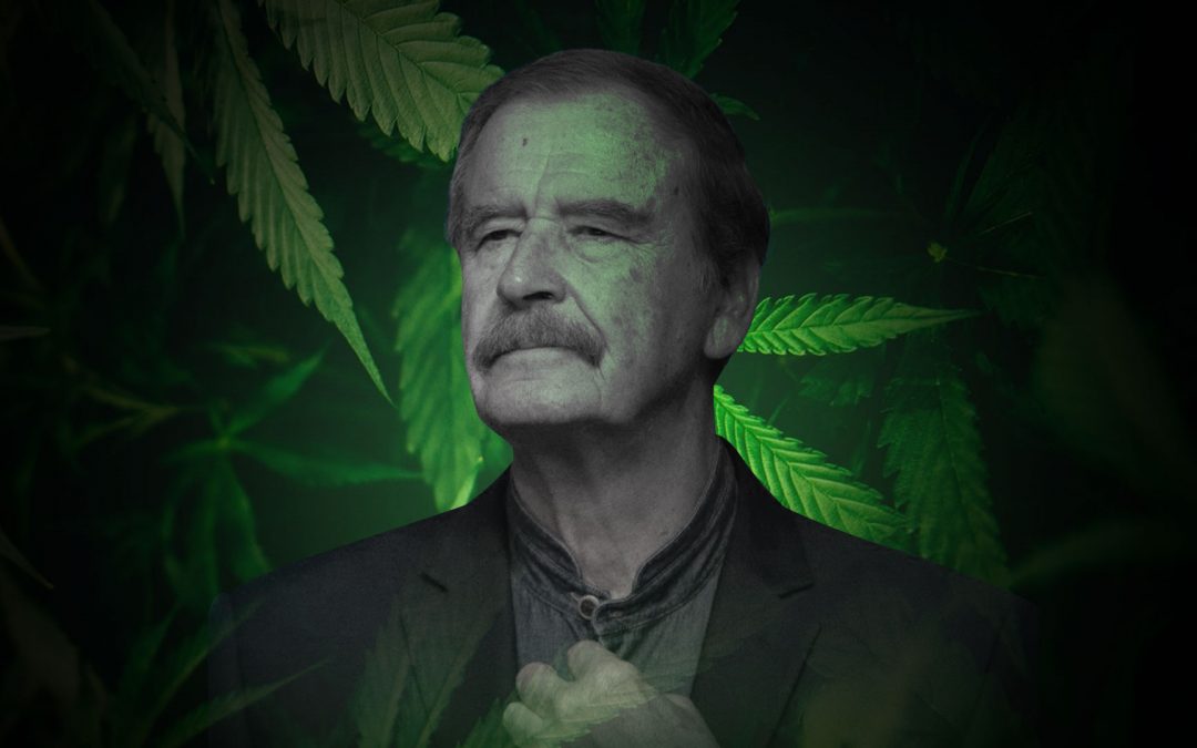 Legalización de la marihuana es un pendiente de la seguridad pública: Vicente Fox