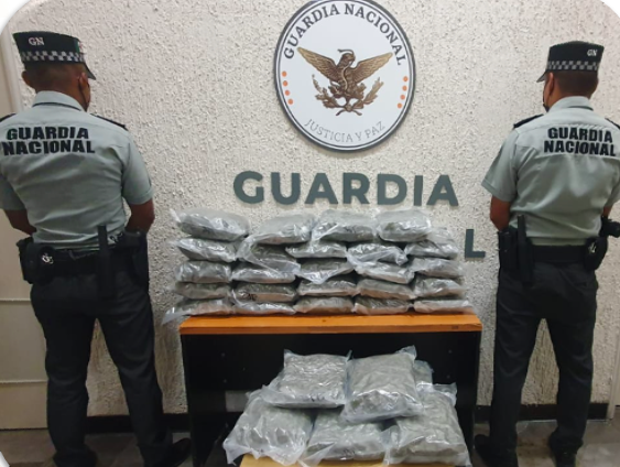 Más de 20 mil dosis de diversas drogas, son sacadas de las calles como resultado del Operativo Guanajuato Seguro.