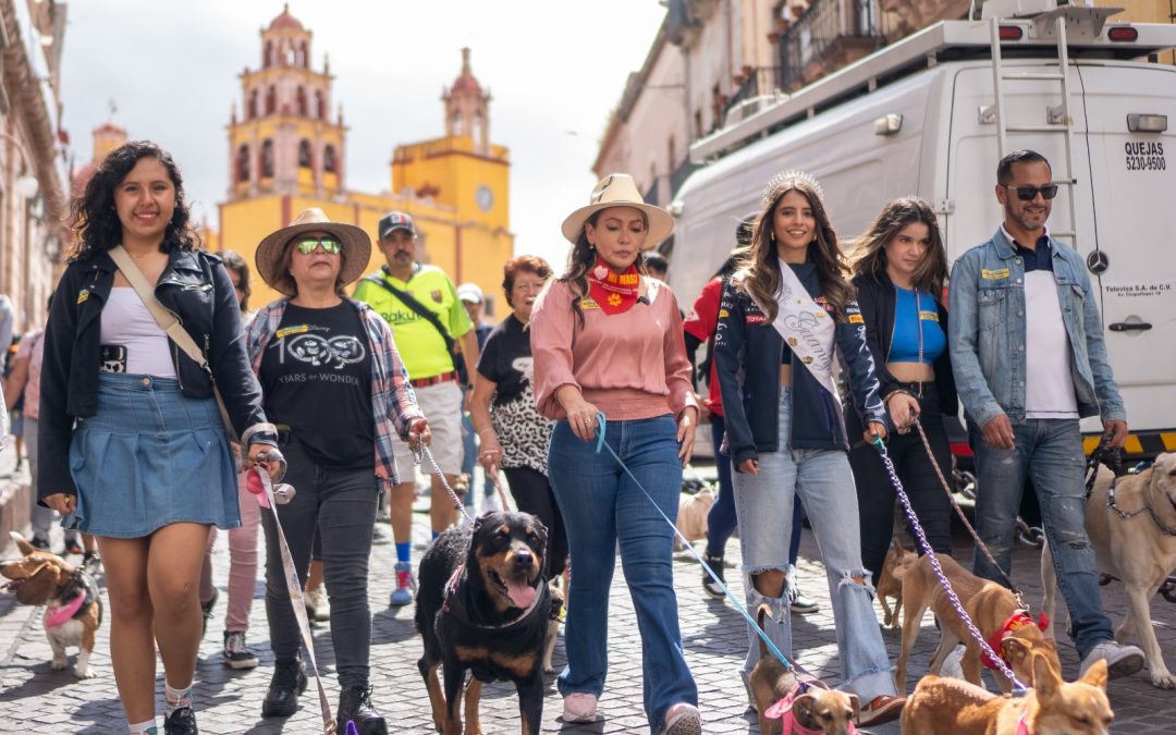 Caminan más de 160 personas y perros por el centro histórico de Guanajuato