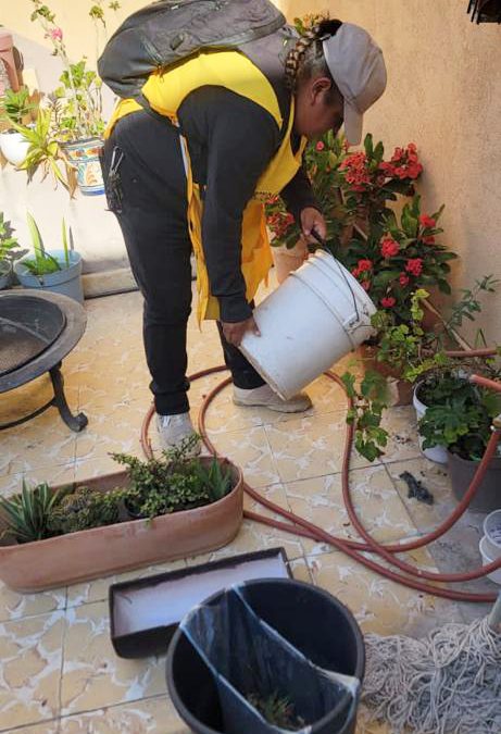 Secretaria de Salud combate el dengue en la capital del estado interviniendo más de 4 mil viviendas.