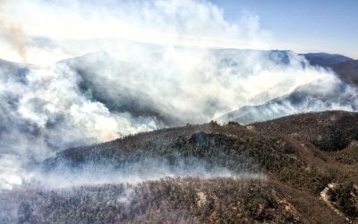 Avanza contención y control del incendio en la sierra de Santa Rosa
