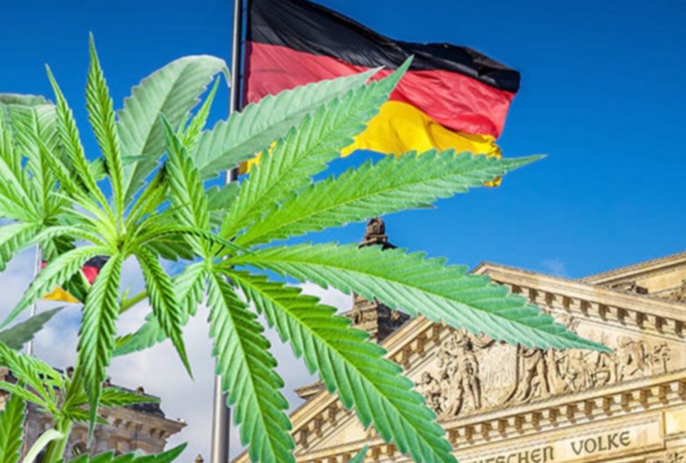 Autoriza Alemania consumo recreativo de mariguana