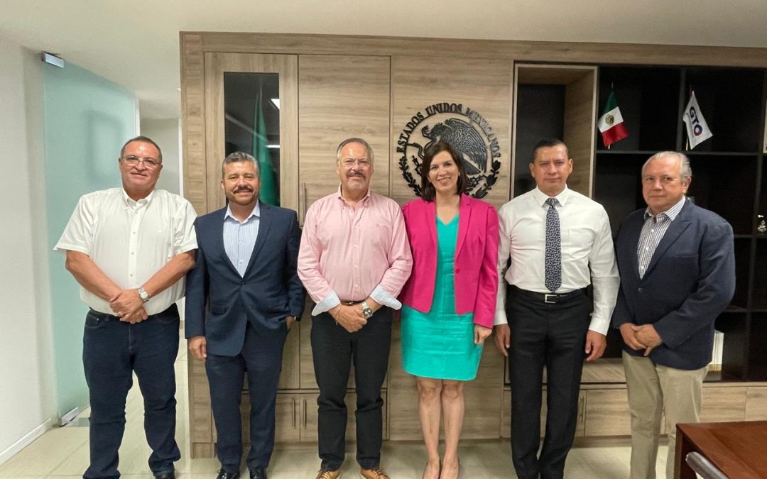 Esta mañana la Dra. Ligia Arce Padilla, secretaria de salud se reunió con Enrique Orozco, enlace de la dirección de operación y evaluación del IMSS-Bienestar, como parte de los avances en la firma del contrato por tres meses para los 294 trabajadores del programa federal E023, por los meses de abril, mayo y junio.