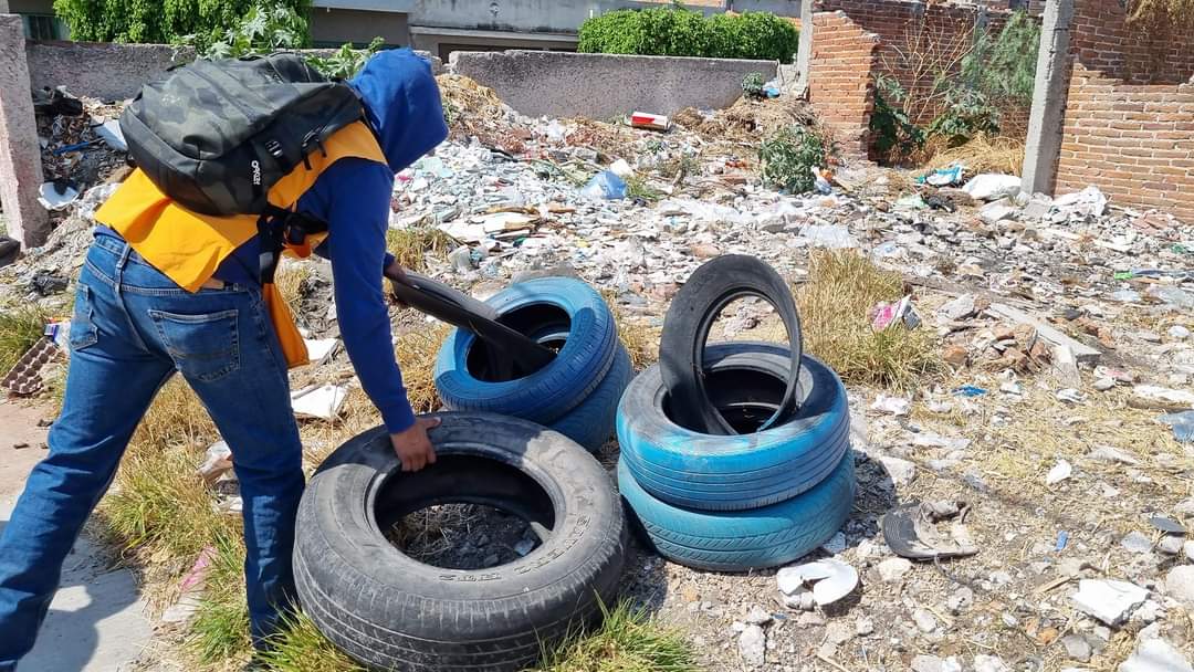 Secretaría  de Salud  informa la eliminación de más de 10 mil kilogramos de cacharros en Gto para abatir el dengue.