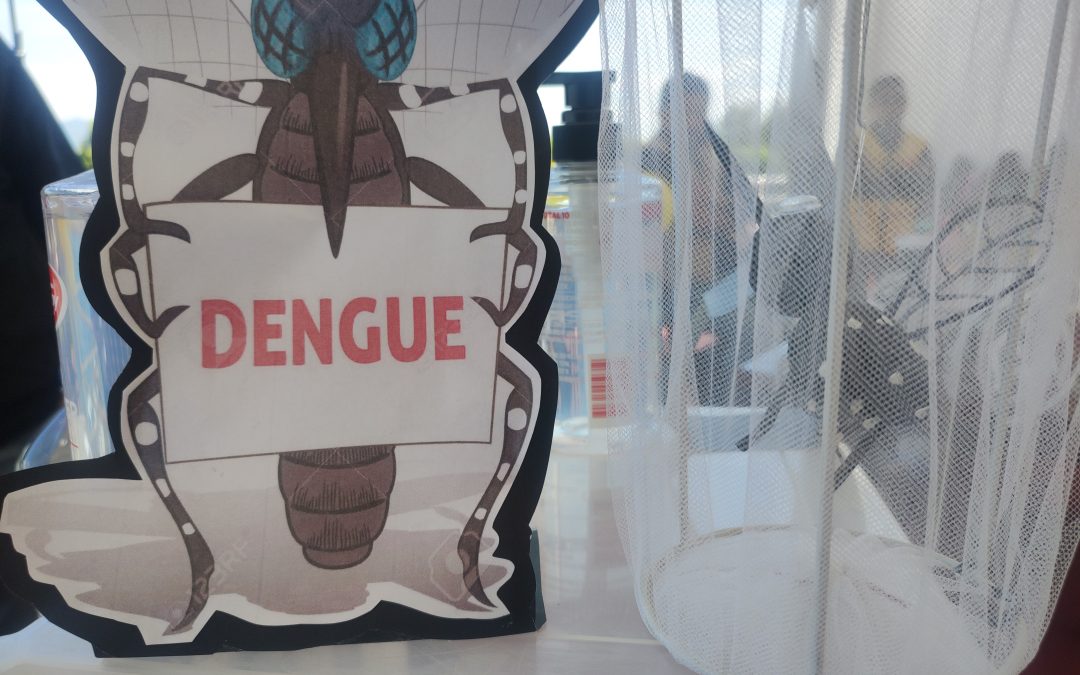 Secretaría de Salud de Guanajuato informa un acumulado de 434 casos de dengue en la entidad.