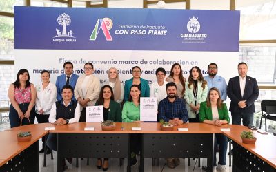    AVANZA IRAPUATO POR UN AMBIENTE SANO Y UN TERRITORIO ORDENADO   