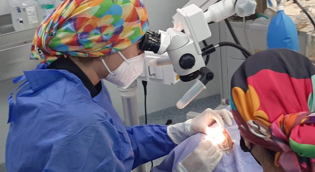 La donación de córneas en Guanajuato devuelve la vista a tres pacientes.