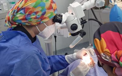 La donación de córneas en Guanajuato devuelve la vista a tres pacientes.