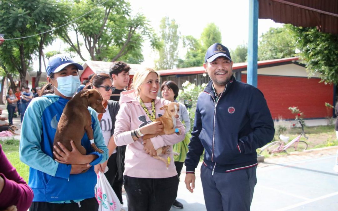 Realizan jornada de esterilización de perros y gatos en Romita.