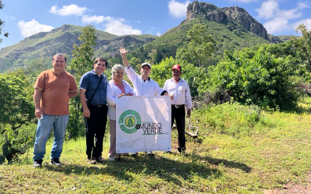 La Fundación Mundo Verde, celebró su vigésimo aniversario plantando árboles en la Bufa en Guanajuato capital. Son 20 años de fomentar la conciencia y acciones en favor del medio ambiente.
