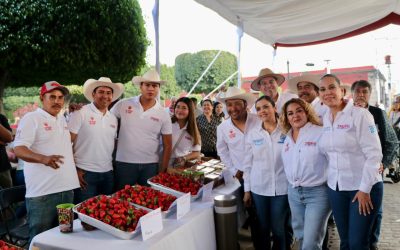 FINALIZA CON GRAN ÉXITO EL FESTIVAL DE LA FRESA 2025
