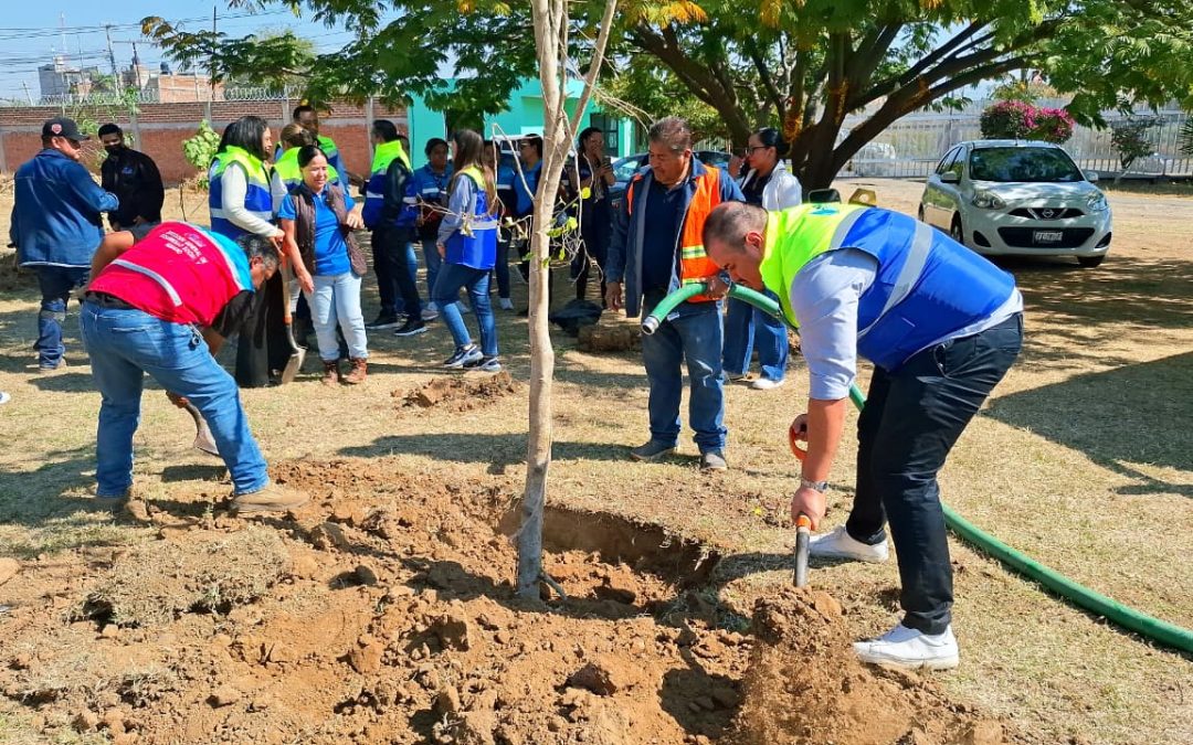 Personal de SAPAS sembró  árboles y alegría en la casa-hogar para personas adultas mayores de Silao