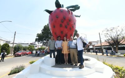 UNA FRESA QUE NOS UNE: SÍMBOLO VIVO DE IDENTIDAD Y ORGULLO IRAPUATENSE