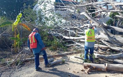 ATIENDE SERVICIOS PÚBLICOS REPORTES TRAS LLUVIAS Y FUERTES VIENTOS EN IRAPUATO