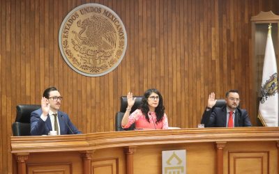 En sesión pública, el Pleno del Tribunal Estatal Electoral de Guanajuato (TEEG), resolvió un juicio electoral y un procedimiento especial sancionador. El juicio TEEG-JE-08/2026 se inició por la denuncia de violencia política contra las mujeres en razón de género