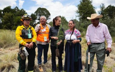 Sheinbaum arranca en Puebla la mayor Jornada de Reforestación: drones y 6.6 millones de árboles en un solo día